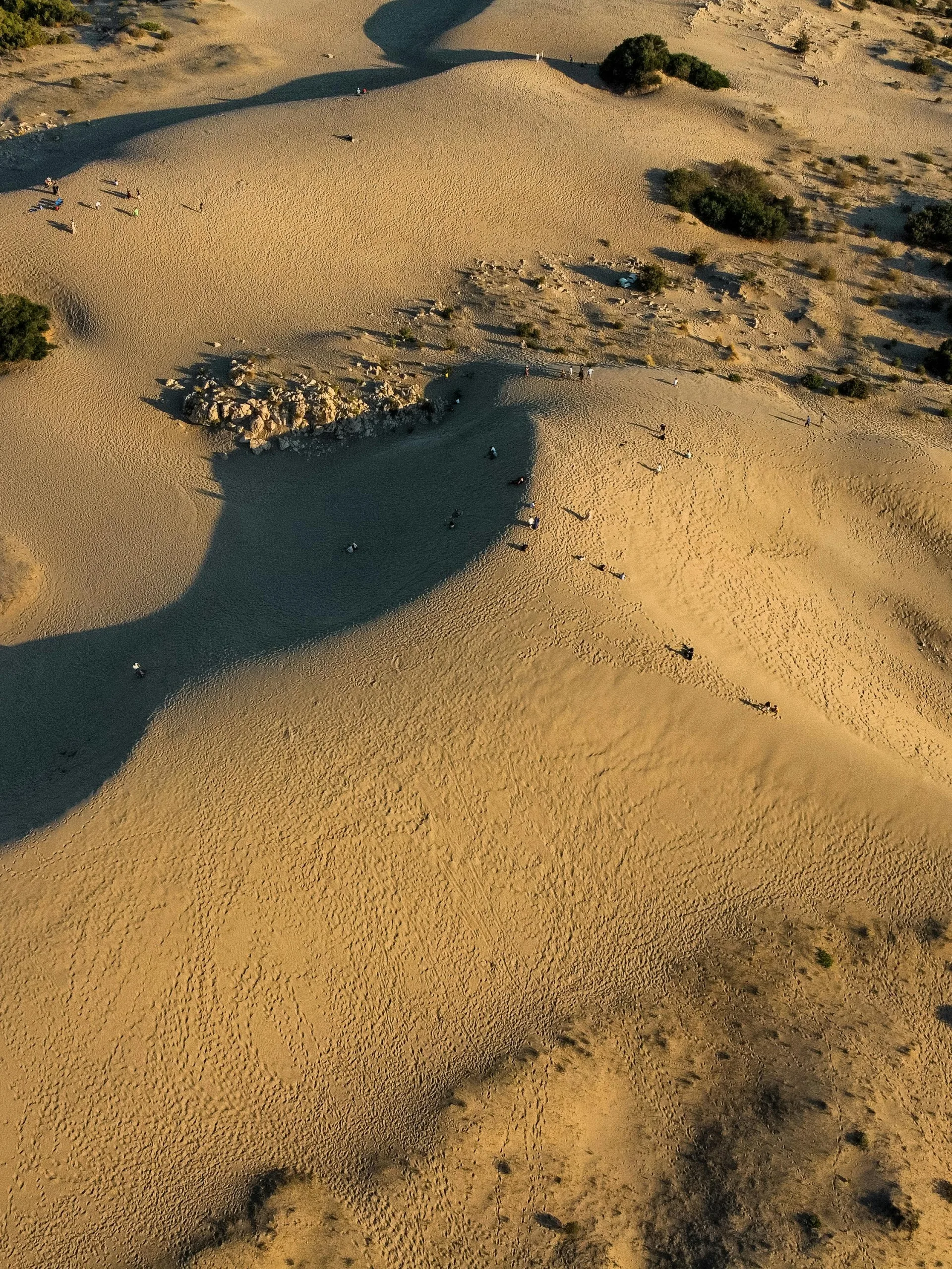 patara
